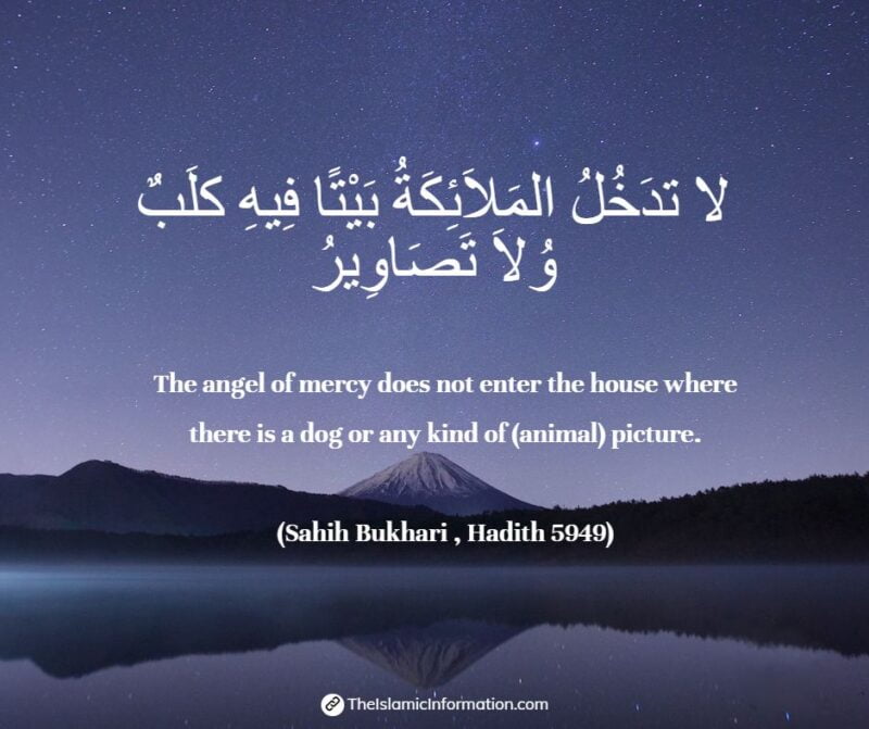 Is Keeping Dogs In The House Haram (No Permissible) As Per Islamic law?