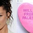 Bella Hadid Shows Solidarity With Palestine On Valentines Day