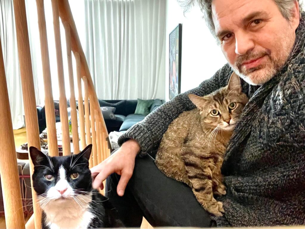 Mark Ruffalo with cats