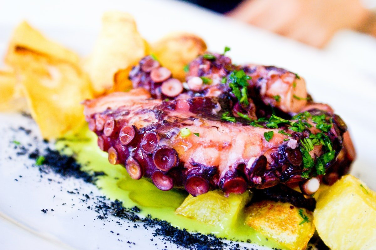 Is Octopus Halal Is Eating It Halal Or Haram 