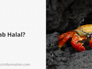 Is Crab Halal