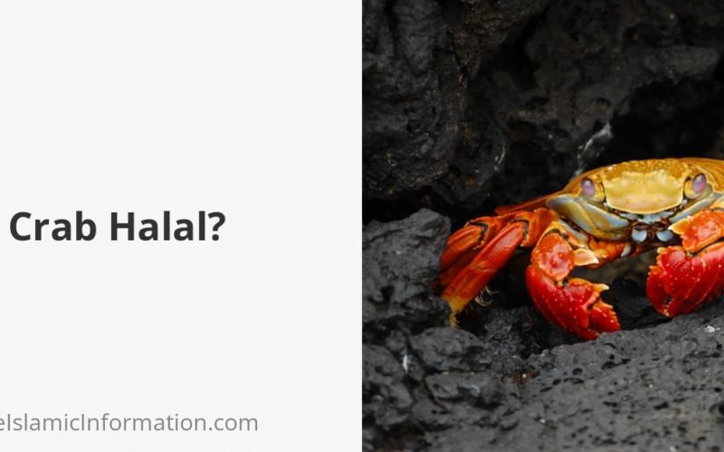 Is Crab Halal