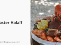 Is Lobster Halal? Can Muslims Eat It? 2025