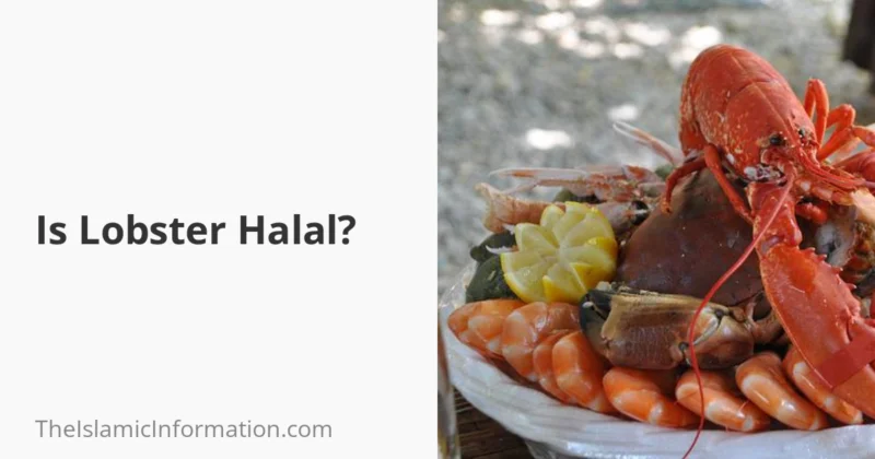 Is Lobster Halal Can Muslims Eat It 2024 is-lobster-halal-can-muslims-eat-it-2024