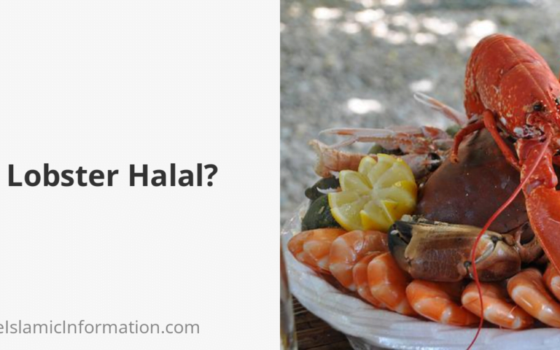 Is Lobster Halal? Can Muslims Eat It? 2023