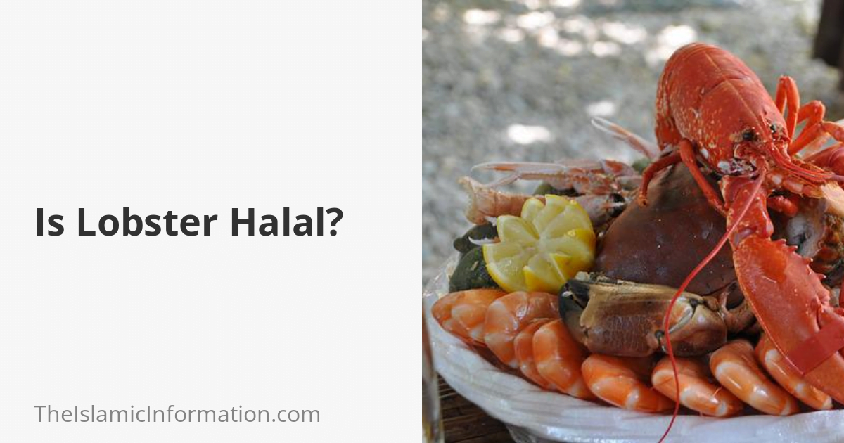 is-lobster-halal