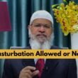 masturbation in islam dr zakir naik