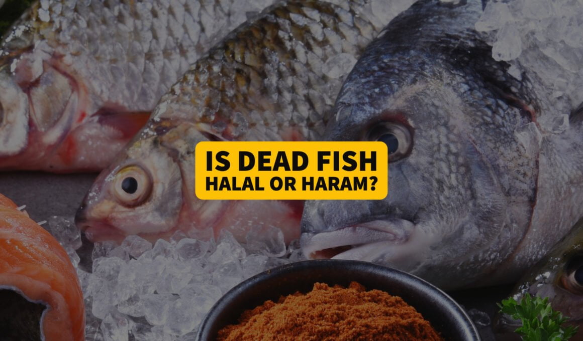 dead fish halal haram in islam