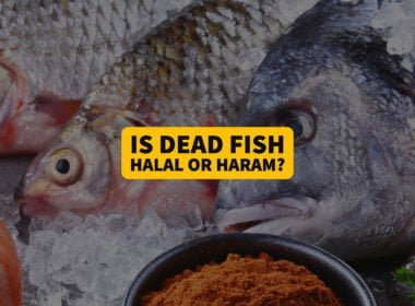 dead fish halal haram in islam