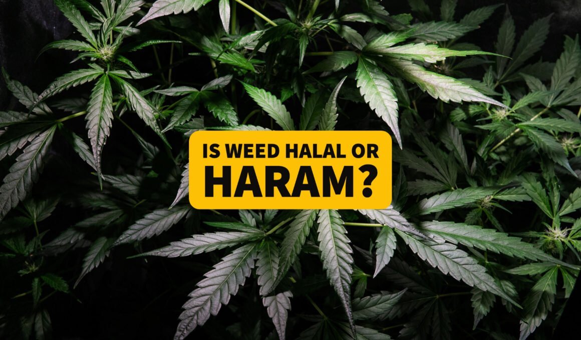 Is WEED Halal or Haram