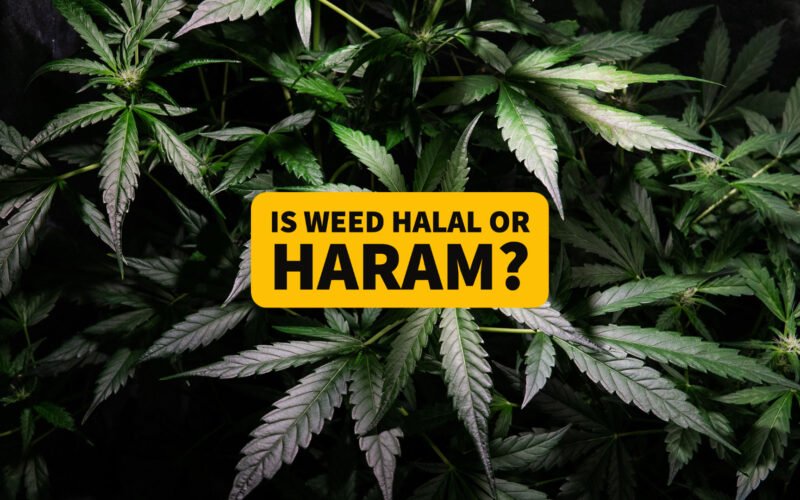 Is WEED Halal or Haram