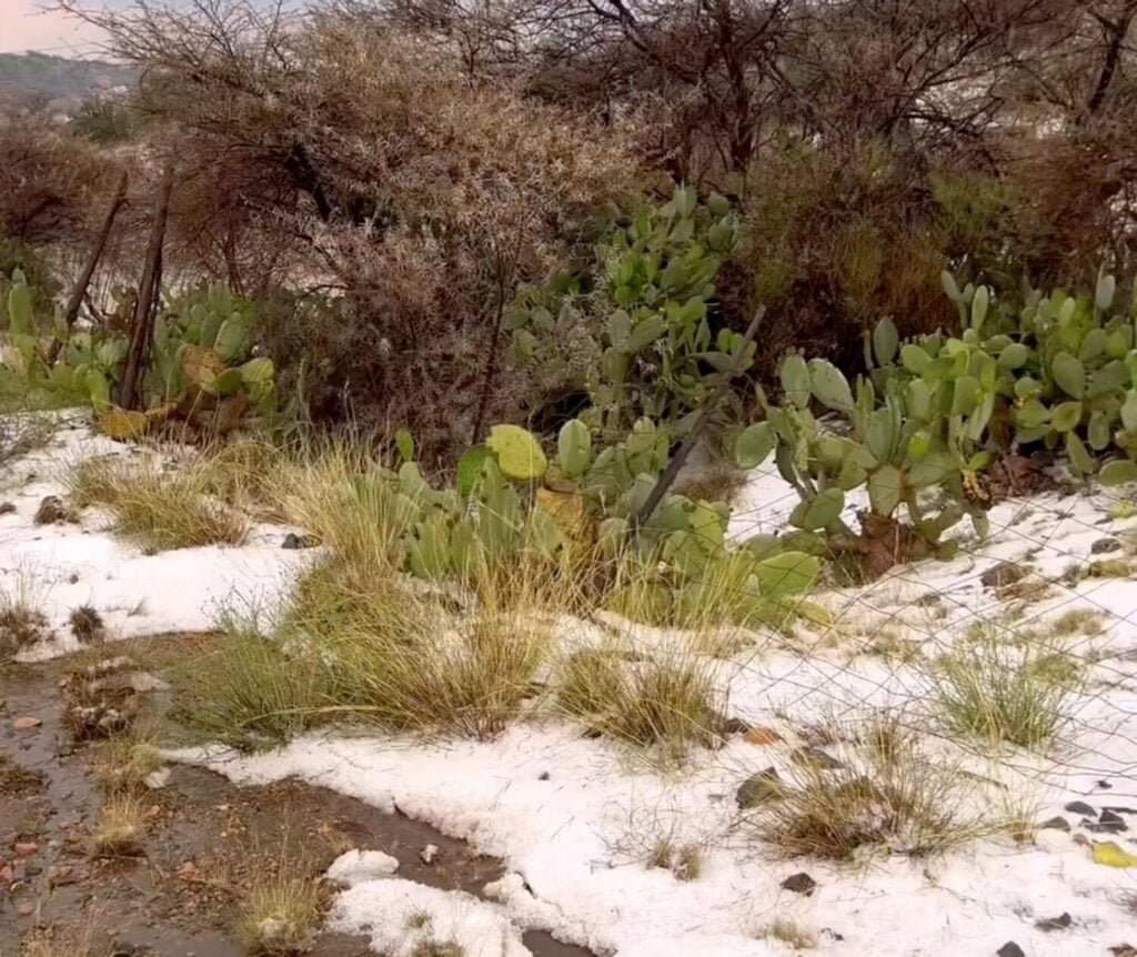 Snowfall In Makkah Region 1