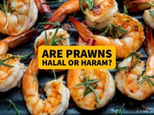 Prawn Halal or Haram