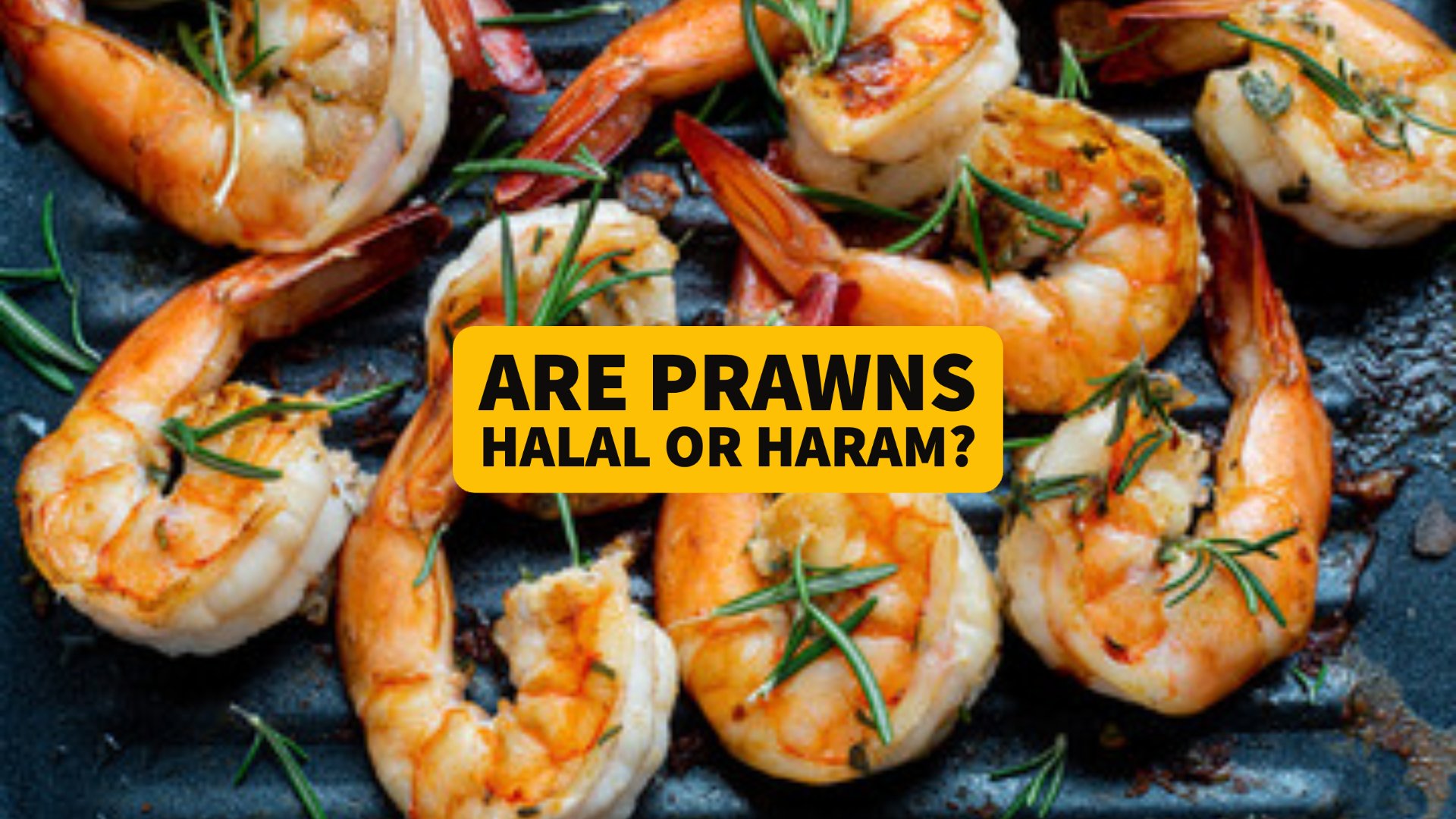 Prawn Halal or Haram