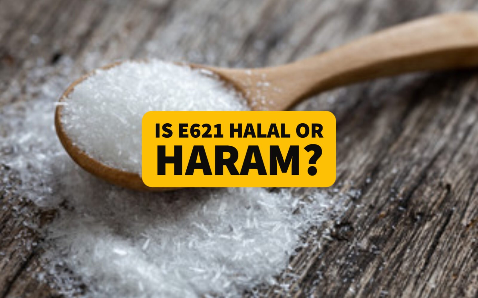 Is E621 Haram In Islam? Can Muslims Eat It? 2023