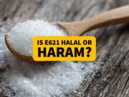 is E621 halal or haram