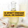 Spirit Vinegar halal haram