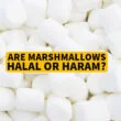Are Marshmallows Halal or Haram