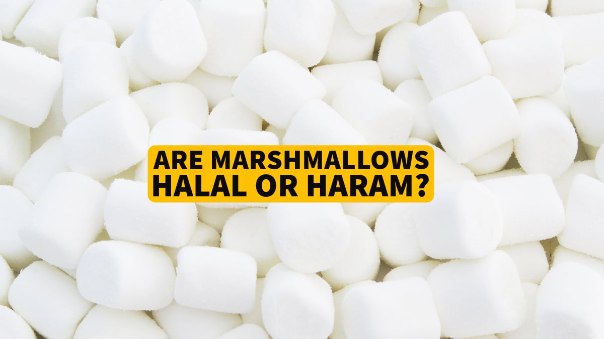 These marshmallows are halal approved : r/mildlyinfuriating