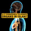 Select Is it Permissible to Donate Organs in Islam