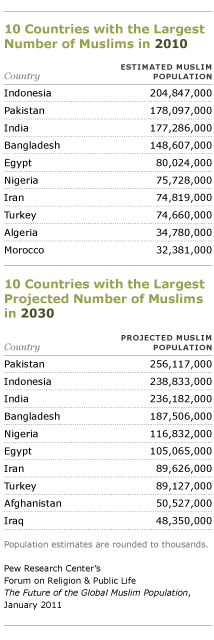 top 10 muslim countries projection