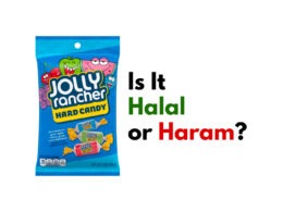 Jolly Ranchers Halal Haram