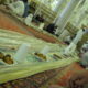iftar in the grand mosque