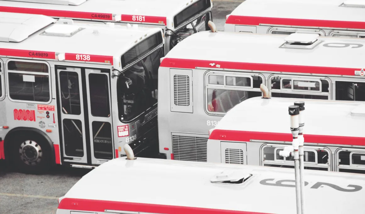 buses