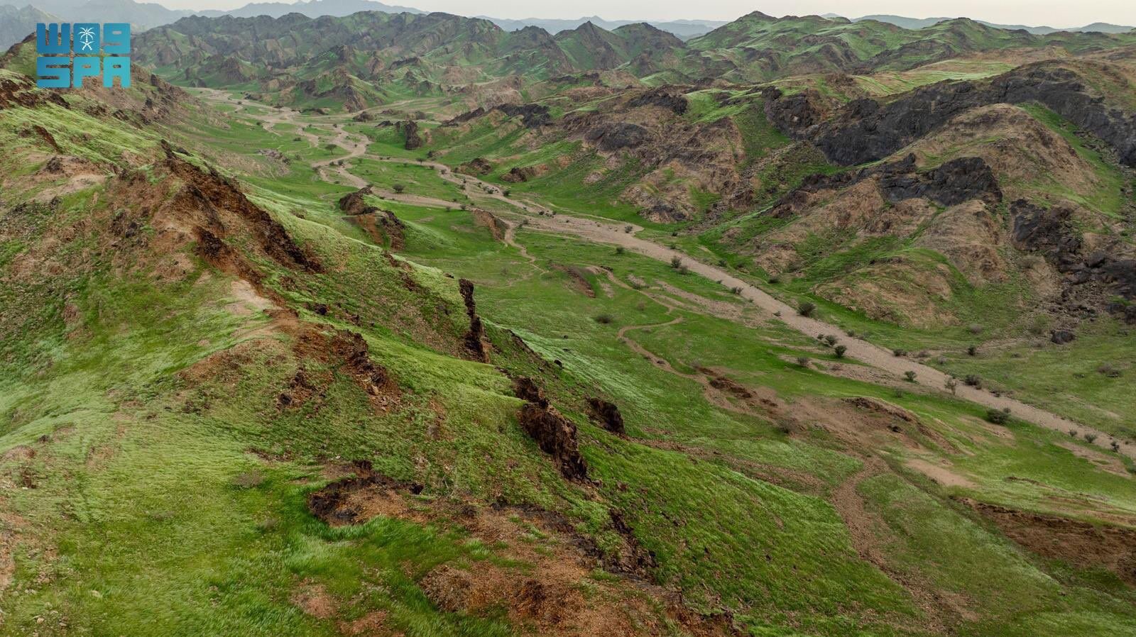 1 makkah mountains green september 2024