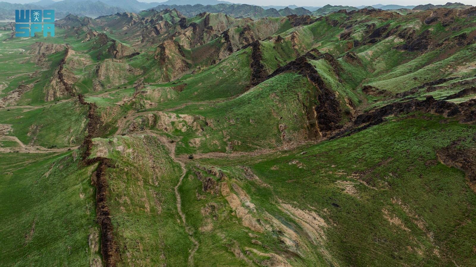 2 makkah mountains green september 2024