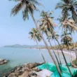 palm trees above tents by the sea water during daytime