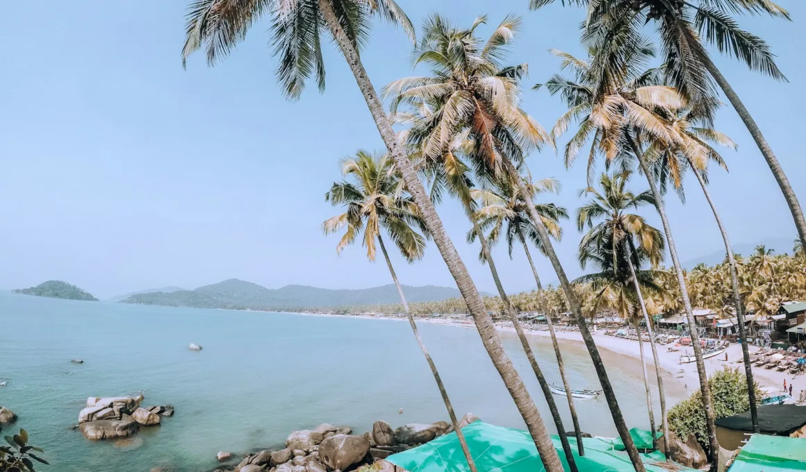 palm trees above tents by the sea water during daytime