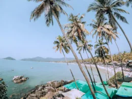 palm trees above tents by the sea water during daytime