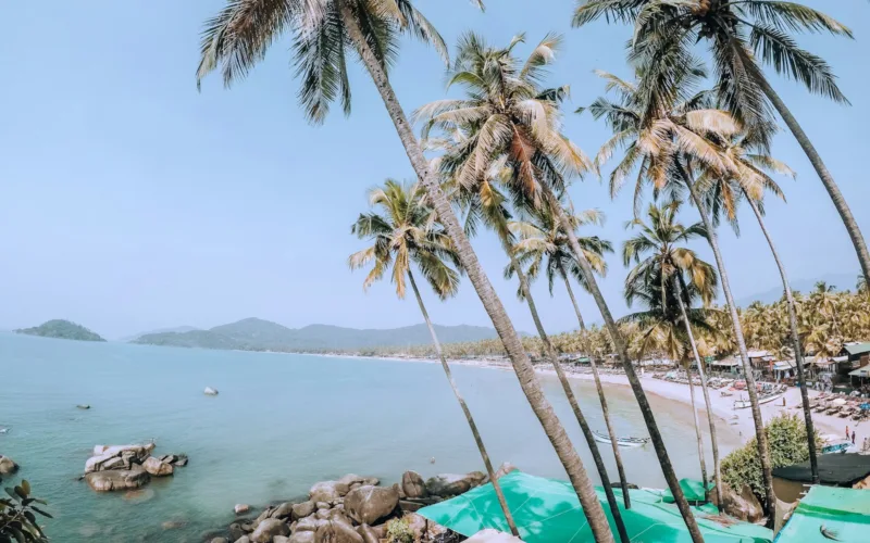 palm trees above tents by the sea water during daytime