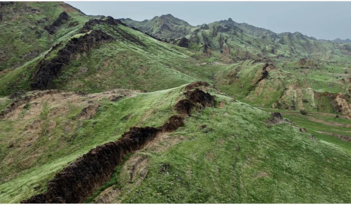 makkah mountains green after rain 2024