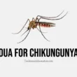 Chikungunya