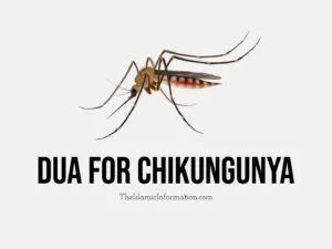 Chikungunya