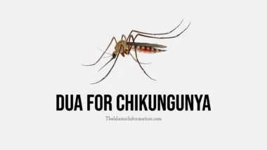 Chikungunya