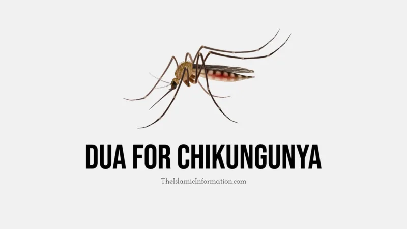 Chikungunya