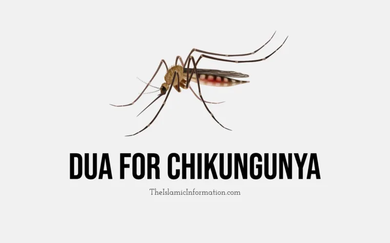 Chikungunya