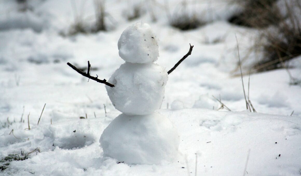 snowman