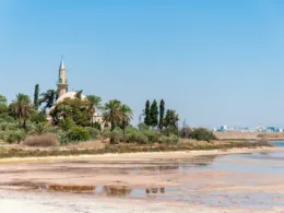 Larnaca Mosque