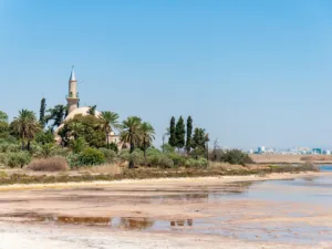 Larnaca Mosque