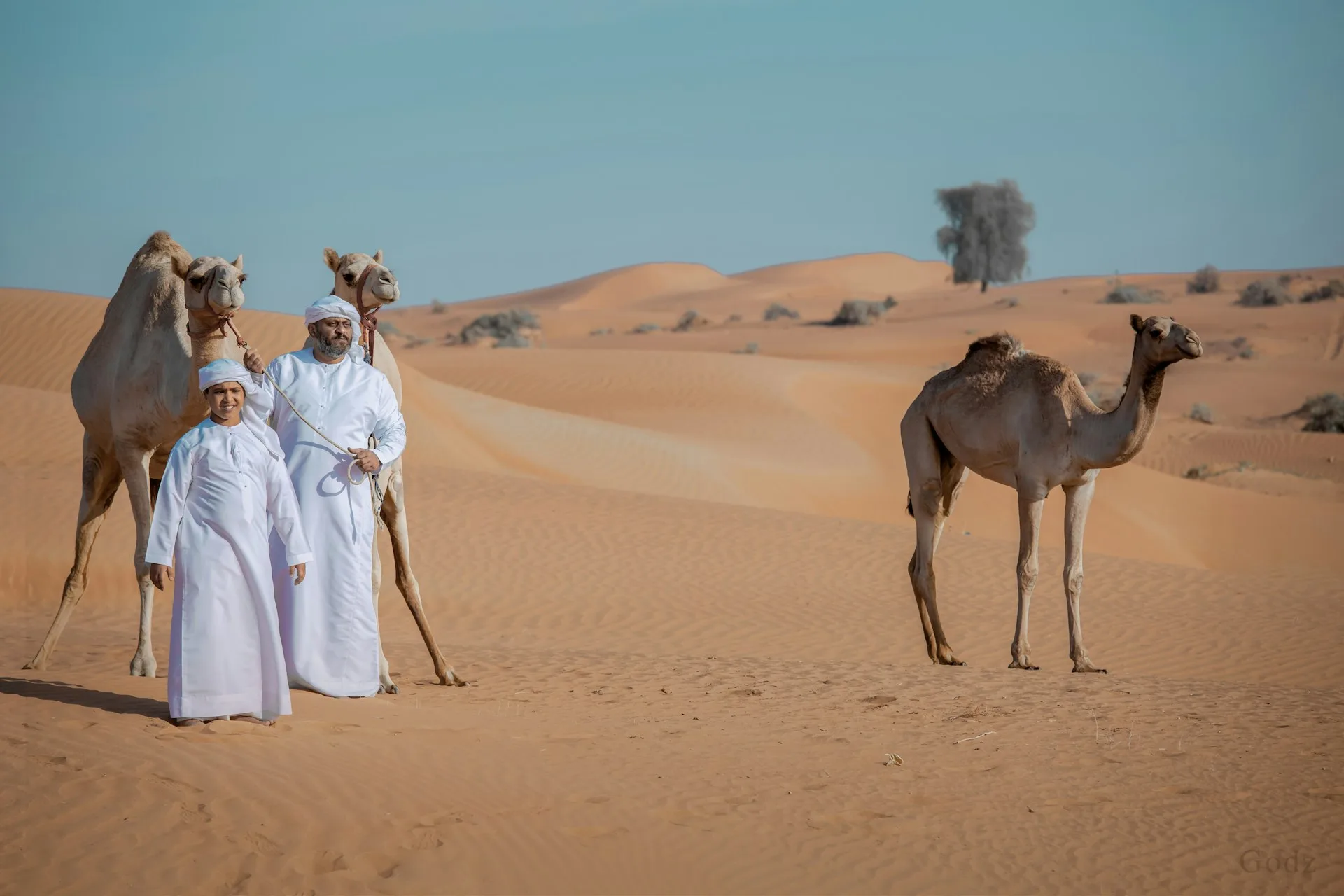arabs with camels