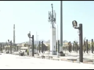 namirah mosque trees installation