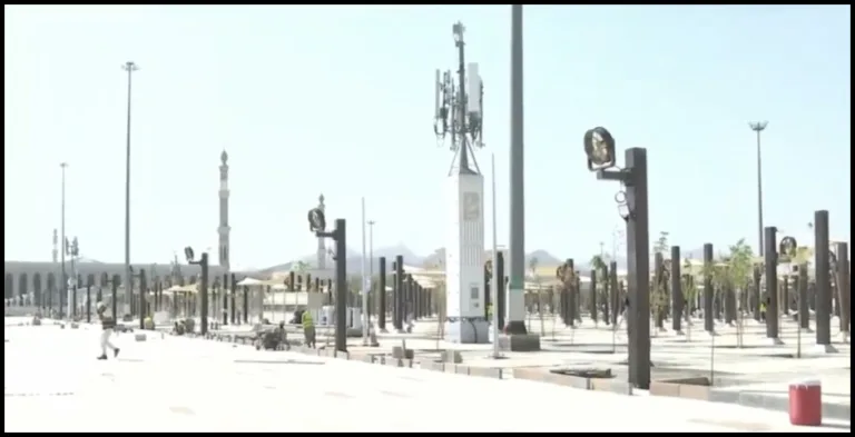 namirah mosque trees installation