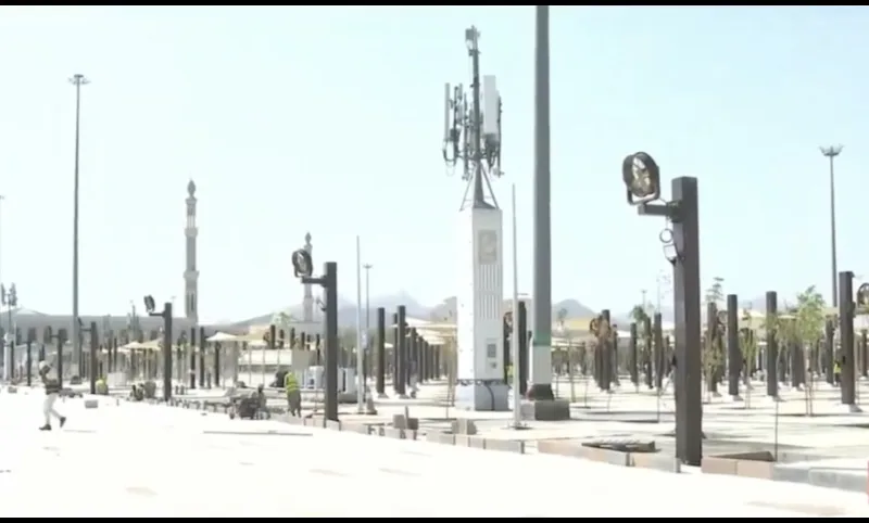 namirah mosque trees installation