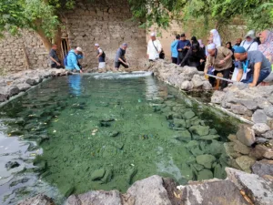 Ethiq Well