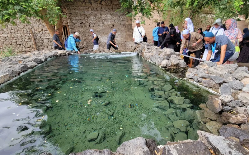 Ethiq Well