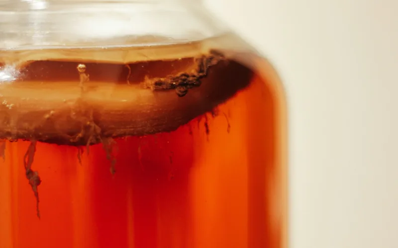 Kombucha
